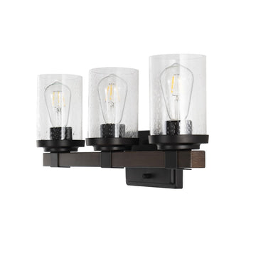 Bungalow Iron/Seeded Glass Rustic Farmhouse LED Vanity Light